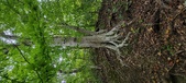 Enlarge photo 97
