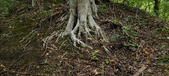Enlarge photo 95