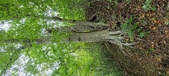 Enlarge photo 104