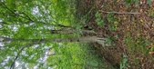 Enlarge photo 102