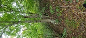 Enlarge photo 109
