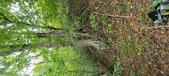 Enlarge photo 108