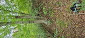 Enlarge photo 107