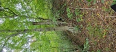 Enlarge photo 106