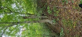 Enlarge photo 113