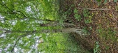 Enlarge photo 112