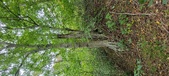 Enlarge photo 111
