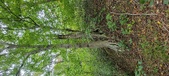 Enlarge photo 117