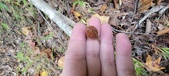 Enlarge photo 116