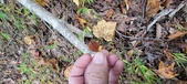 Enlarge photo 115