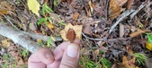 Enlarge photo 114