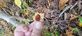 Enlarge photo 121