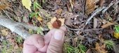 Enlarge photo 120