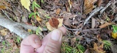Enlarge photo 119