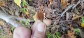 Enlarge photo 118