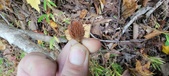 Enlarge photo 125