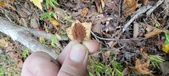 Enlarge photo 124
