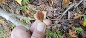 Enlarge photo 123