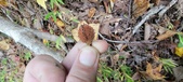 Enlarge photo 122