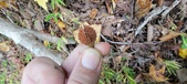 Enlarge photo 129
