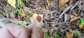Enlarge photo 128