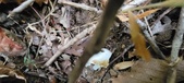 Enlarge photo 127