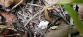 Enlarge photo 126
