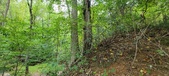 Enlarge photo 133