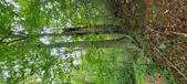 Enlarge photo 132