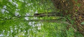 Enlarge photo 131