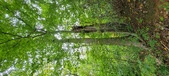 Enlarge photo 130