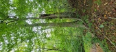 Enlarge photo 136