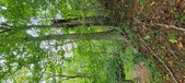 Enlarge photo 135