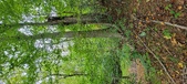 Enlarge photo 134