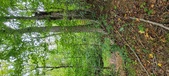 Enlarge photo 141
