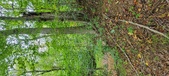 Enlarge photo 140