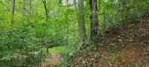 Enlarge photo 139