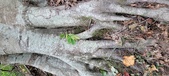 Enlarge photo 144