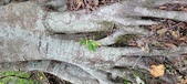 Enlarge photo 143