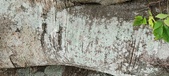 Enlarge photo 142