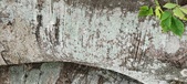 Enlarge photo 148