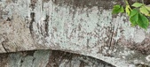 Enlarge photo 147