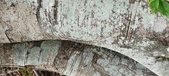 Enlarge photo 146