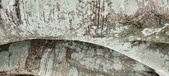 Enlarge photo 153