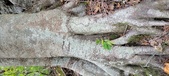 Enlarge photo 151