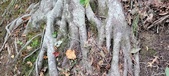 Enlarge photo 150