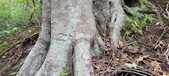 Enlarge photo 157