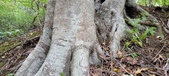 Enlarge photo 156