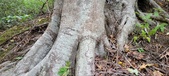 Enlarge photo 154