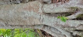 Enlarge photo 160